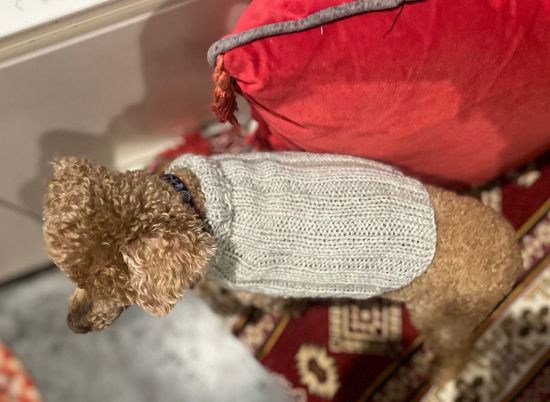 Picture of Hand Knit Ribbed Dog Jumper