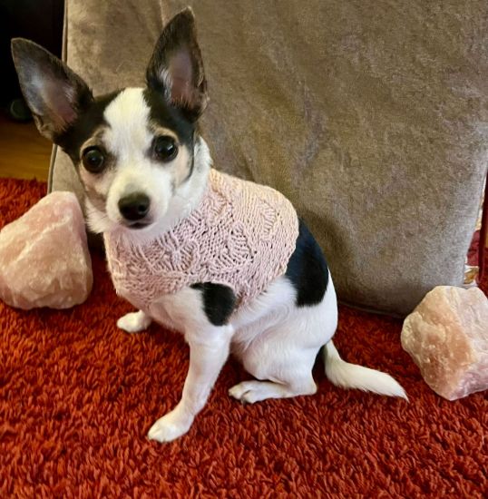 Picture of Hand Knit Heart Dog Jumper